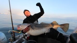 Fiskeri efter Skrei fra øen Sørøya i det nordlige Norge [upl. by Dalis]