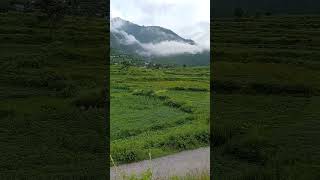 beautiful land for sale Uttarakhand [upl. by Sinnaoi]