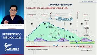 Adaptacion respiratoria en RN [upl. by Vitkun]