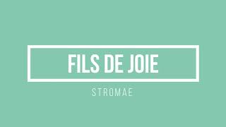 Stromae  Fils de joie  Lyricsbe [upl. by Cassey]