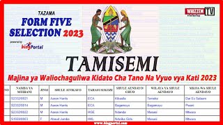 Jinsi Ya Kutazama Selection za Kidato Cha Tano 2023  TAMISEMI Form five Selection 2023 [upl. by Goren835]