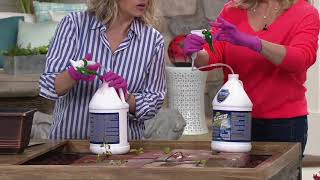 Green Gobbler Vinegar Weed Killer 1Gallon with Trigger Spray on QVC [upl. by Anead]