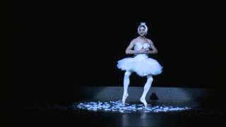 Les Ballets Trockadero de Monte Carlo  The Dying Swan [upl. by Enelegna]