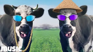 The Magical Color Cows dance funny video 1  Cow Song amp Cow Videos 2024  Cow dance mix  dance cow [upl. by Treborsemaj983]