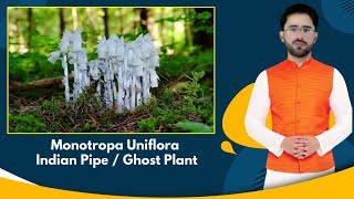 Promo  01  Indian Pipe  Ghost Plant  PPSC Lecturer ZoologyBiology Preparation [upl. by Rahr447]