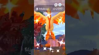 ✨SHINY Galarian Moltres CAUGHT Live on Stream✨ Pokemon GO pokemongo shinypokemon shorts [upl. by Helali233]