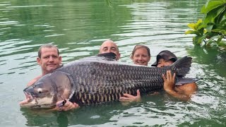 Gillhams Fishery Thailand  4 days in paradise I LANDED THE HUGE ALI HAMIDI ESCAPEE SIAMESE CARP [upl. by Kariotta]