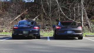 EXHAUST SOUND BATTLE 9871 Cayman S vs 981 Cayman GTS [upl. by Aronoel69]