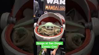 Grogu Brings the Cute to San Diego ComicCon [upl. by Herrle]