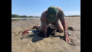 Clamming with KELT [upl. by Christoper41]