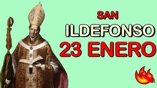 Quien Fue San Ildefonso  Santo del Día 23 de Enero del 2020 [upl. by Yttam]