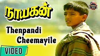 Nayagan Movie Songs  Thenpandi Cheemayile Video Song  Kamal Haasan  Saranya  Ilaiyaraja [upl. by Moyers558]