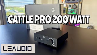 Leaudio Cattle Pro 200Watt Amplifier  Short Review quotEASY SETUP amp SOLID OUTPUTquot [upl. by Richman]