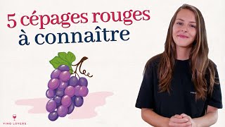 5 cépages rouges à connaître absolument cabernet sauvignon merlot pinot noir syrah et grenache [upl. by Nortna]