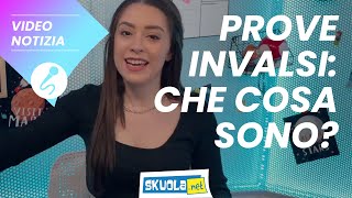 Prove Invalsi che cosa sono [upl. by Samau]