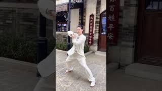 Tai Chi  太极腿功，力发于根，主宰于腰，形于手指 taichi taichiquan kungfu 太极 太极拳 功夫 中华武术 martialarts taiji [upl. by Rivers]