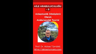 Aile Arabuluculuğu5 Anlaşmazlık Dönüşümü Olarak Arabuluculuk Teorisi [upl. by Allemac206]