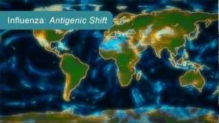 How Influenza Pandemics Occur [upl. by Thilda]