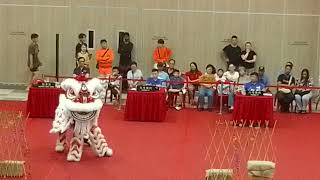 Da Peng Nam Wah Pai Wushu Dragon and Lion dance institute Team B [upl. by Idolem]