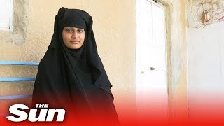 ISIS bride Shamima Begum stripped of British citizenship [upl. by Micheil]