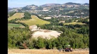 aratura in collina 2013 con fiatagri 9555 e fiat 565c [upl. by Chev]