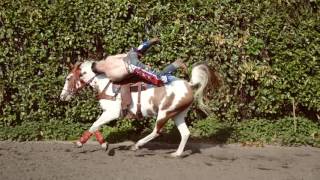 Horse and Hunk making of kalender 2017 Hein van den Brand [upl. by Howe206]