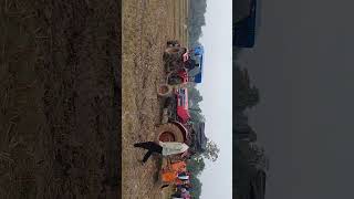 Tha kho bhai tractor ko kesy neekal [upl. by Jansen571]