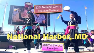 🇺🇸Maryland《National Harbor🌸Cherry Blossom Festival🌺沖縄エイサー🥁カチャーシー》 [upl. by Carmel]