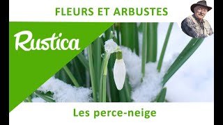 Le perce neige [upl. by Jaella]