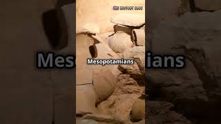 Mesopotamia Birthplace of Civilizationshorts viralvideo ancientcivilization [upl. by Calesta]