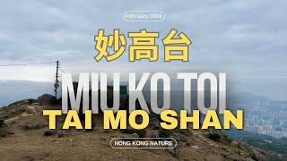 Miu Ko Toi 妙高台 Tai Mo Shan 大帽山 Hong Kong 香港 [upl. by Deedahs]