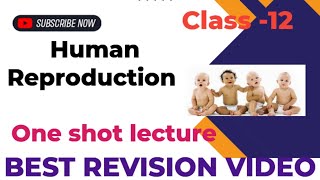 Biology class 12Human ReproductionOne Shot Best Revision video [upl. by Hsara625]