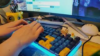 Welfare96 with 67g Zealios Typing Test [upl. by Nylanaj539]