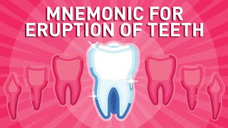 Eruption of Teeth  Mnemonic [upl. by Amehsat]