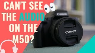 How to See Canon M50 Audio Levels While Recording [upl. by Damara459]