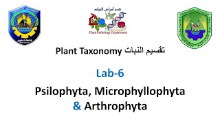 Section 6 Plant Taxonomy  Psilophyta Microphyllophyta amp Arthrophyta [upl. by Phelps]