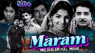 Maram  Best Malayalam Full Movie  Prem Nazir Jayabharathi K P Ummer KPAC Lalitha Adoor Bhasi [upl. by Grassi]