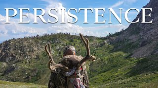 PERSISTENCE  ARCHERY MULE DEER HUNT [upl. by Fred]