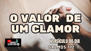 O VALOR DO CLAMOR  SALMOS 1421 palavradodia mensagemdefe reflexõesdiárias [upl. by Doble]