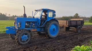 MTZ52 spreading manure [upl. by Ocinom434]