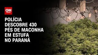 Polícia descobre 430 pés de maconha em estufa no Paraná  LIVE CNN [upl. by Symon]