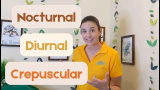 What does it mean to be nocturnal diurnal or crepuscular A fun video explaining the differences [upl. by Ettelorahc123]