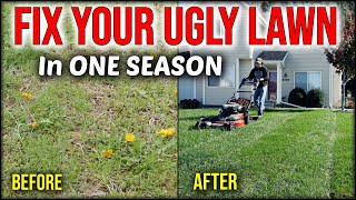 Fix An Ugly Lawn In ONE SEASON Without Seeding Or Overseeding [upl. by Myrlene]