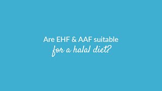 Are EHF amp AAF suitable for a halal diet [upl. by Calvert]