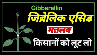 gibberellic acid function in plants।how does gibberellic acid affect plant growth। [upl. by Hoi749]