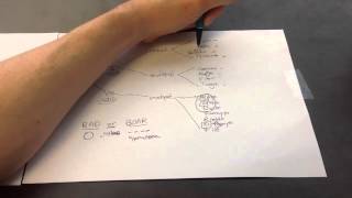 DNA and RNA Viruses Mnemonic for USMLE Step 1 [upl. by Sedberry]