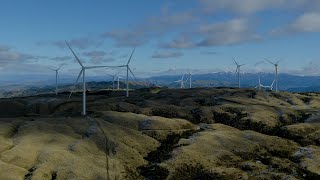 Harapaki Wind Farm is all go and delivering for NZ [upl. by Renfred]