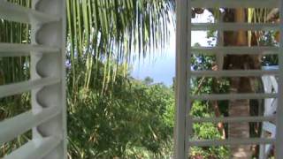 Hotel Mocking Bird Hill  Port Antonio Jamaica [upl. by Anaujat171]