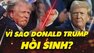 VÌ SAO ÔNG TRUMP HỒI SINH TỔNG THỐNG MỸ 2024 TƯƠNG LAI [upl. by Koffman]