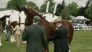 Great Yorkshire Show  11 July 2023 [upl. by Duke]